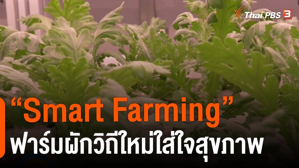 ​ประเด็นสังคม : "Smart Farming" ฟาร์มผักวิถีใหม่ใส่ใจสุขภาพ