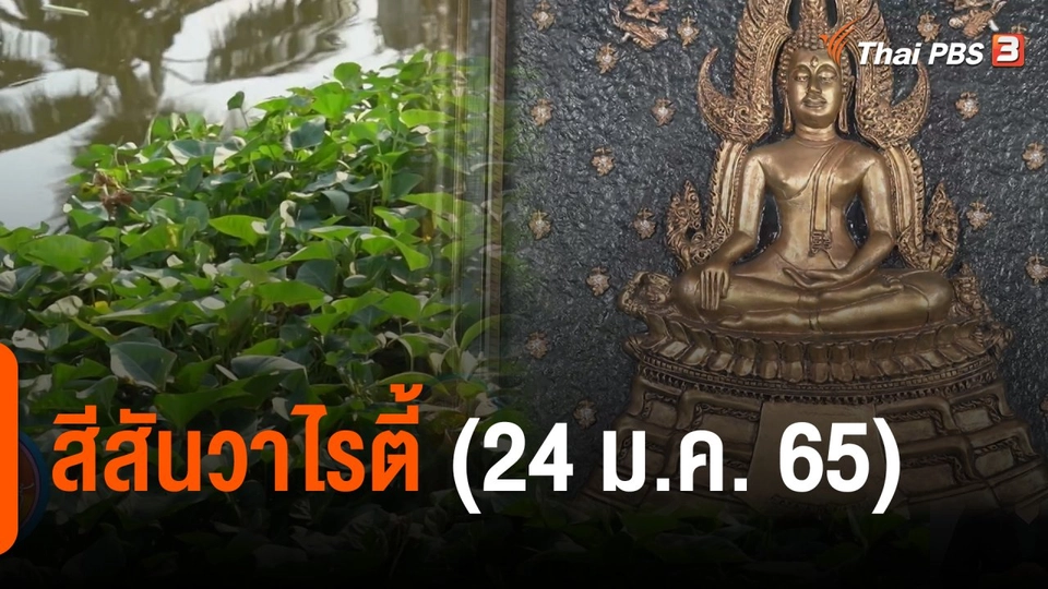 สีสันวาไรตี้ (24 ม.ค. 65)