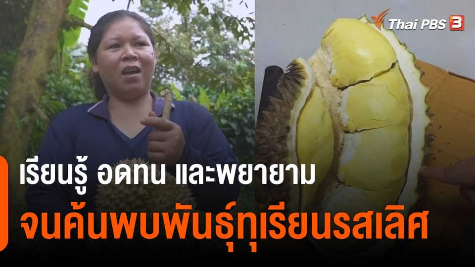 ดอกผลของความยั่งยืน : หญิงนักสู้แห่งบ้านโป่งลึก - บางกลอย