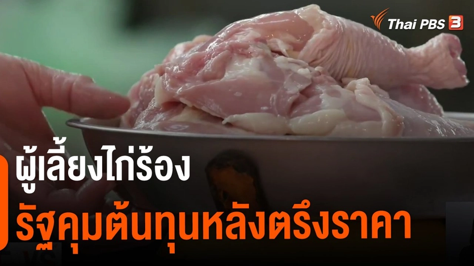 ​จับสัญญาณเศรษฐกิจ : ผู้เลี้ยงไก่ร้องรัฐคุมต้นทุนหลังตรึงราคา​