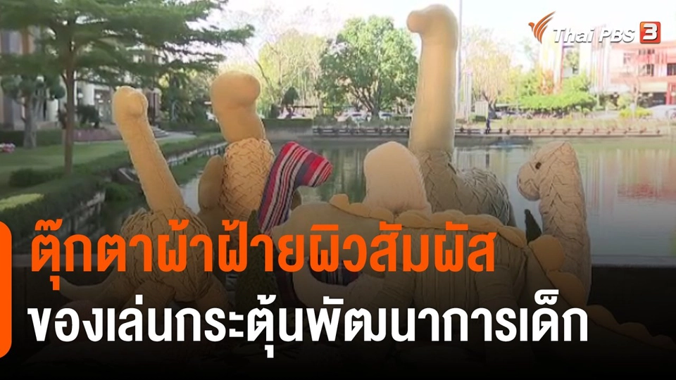 ประเด็นสังคม : ตุ๊กตาผ้าฝ้ายผิวสัมผัส ของเล่นกระตุ้นพัฒนาการเด็ก