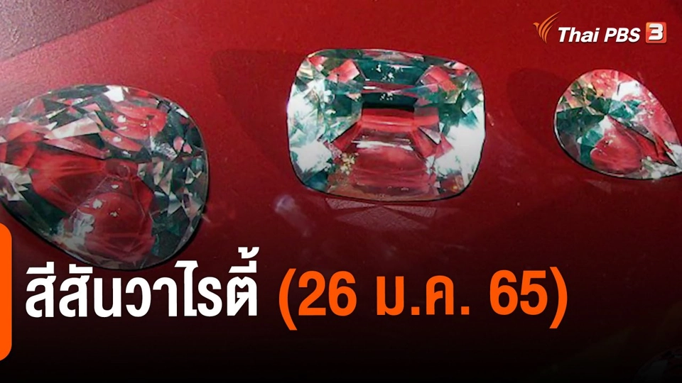 ​สีสันวาไรตี้ (26 ม.ค. 65)