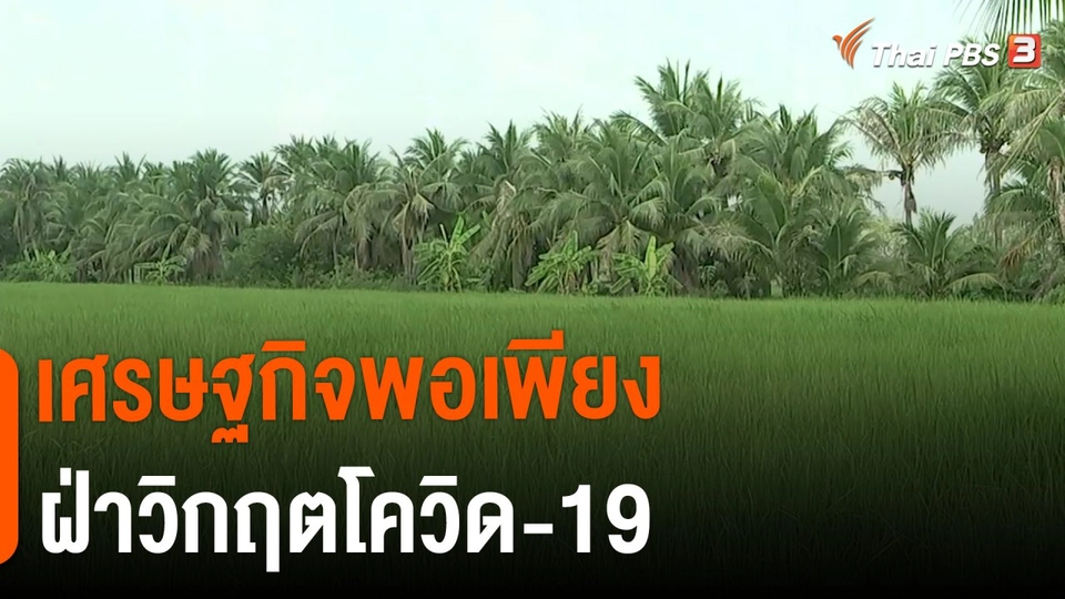 ดอกผลของความยั่งยืน  : เศรษฐกิจพอเพียง ฝ่าวิกฤตโควิด-19