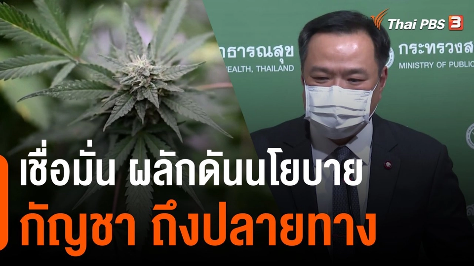 ภูมิใจไทย เชื่อมั่น ผลักดันนโยบายกัญชาถึงปลายทาง