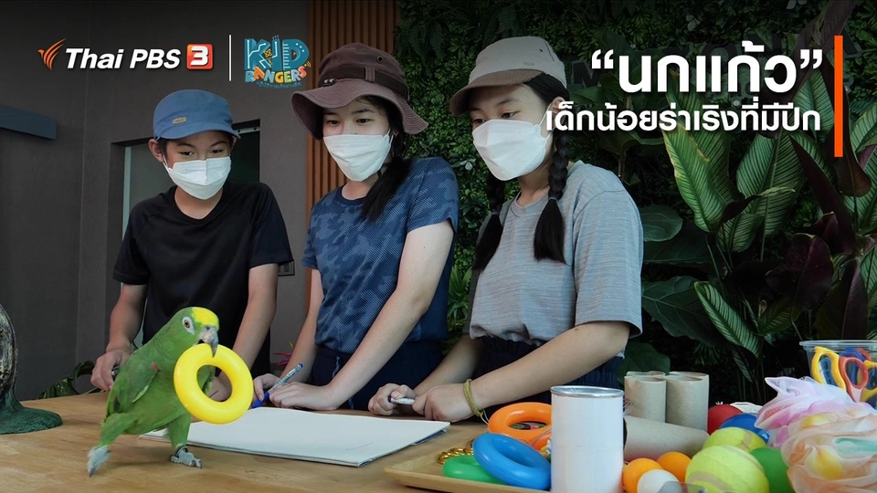 คิดส์เรียนรู้ : “นกแก้ว” เด็กน้อยร่าเริงที่มีปีก