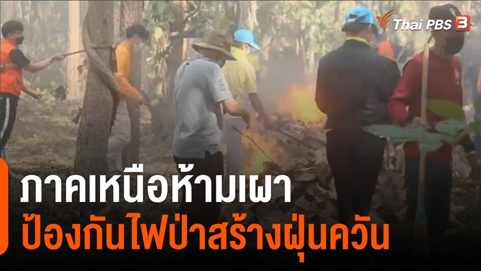 ภาคเหนือห้ามเผา ป้องกันไฟป่าสร้างฝุ่นควัน