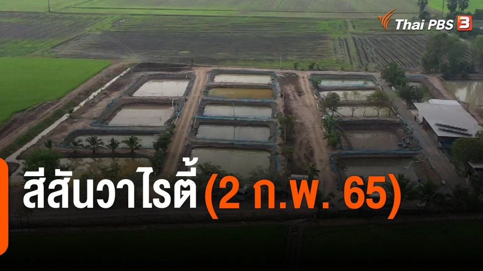 สีสันวาไรตี้ (2 ก.พ. 65)