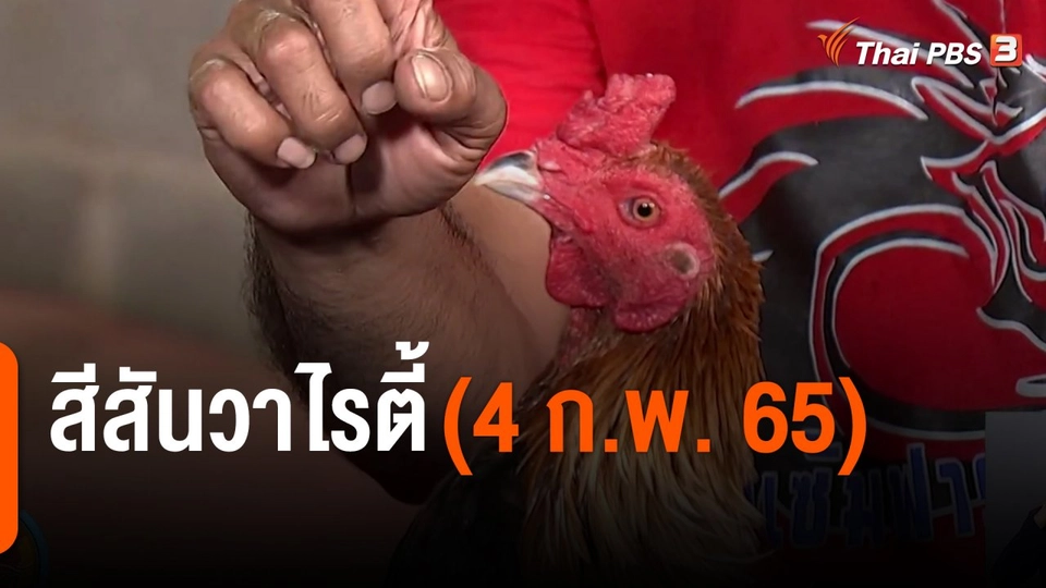 สีสันวาไรตี้ (4 ก.พ. 65)