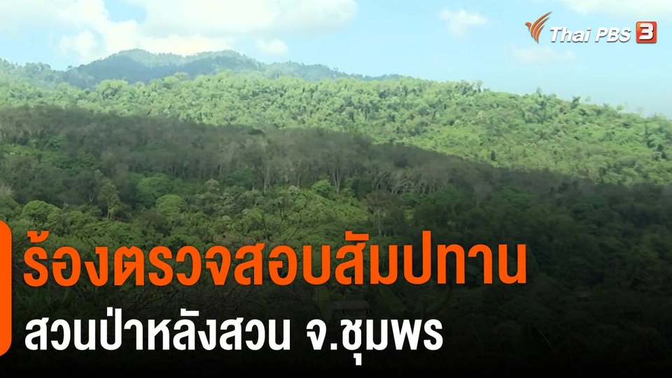 ​สถานีร้องเรียน : ร้องตรวจสอบสัมปทานสวนป่าหลังสวน จ.ชุมพร