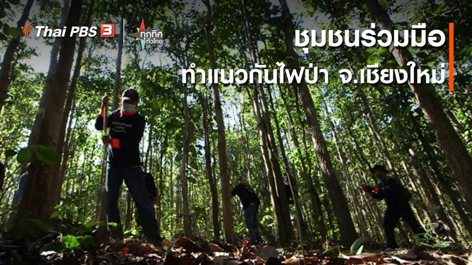 ​วิถีทั่วไทย : ชุมชนร่วมมือทำแนวกันไฟป่า จ.เชียงใหม่