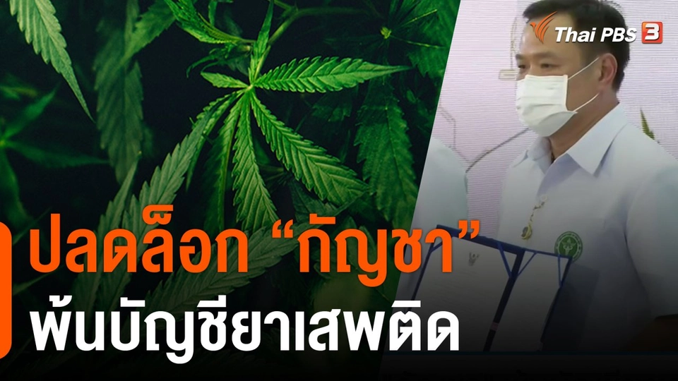 ปลดล็อก "กัญชา" พ้นบัญชียาเสพติด