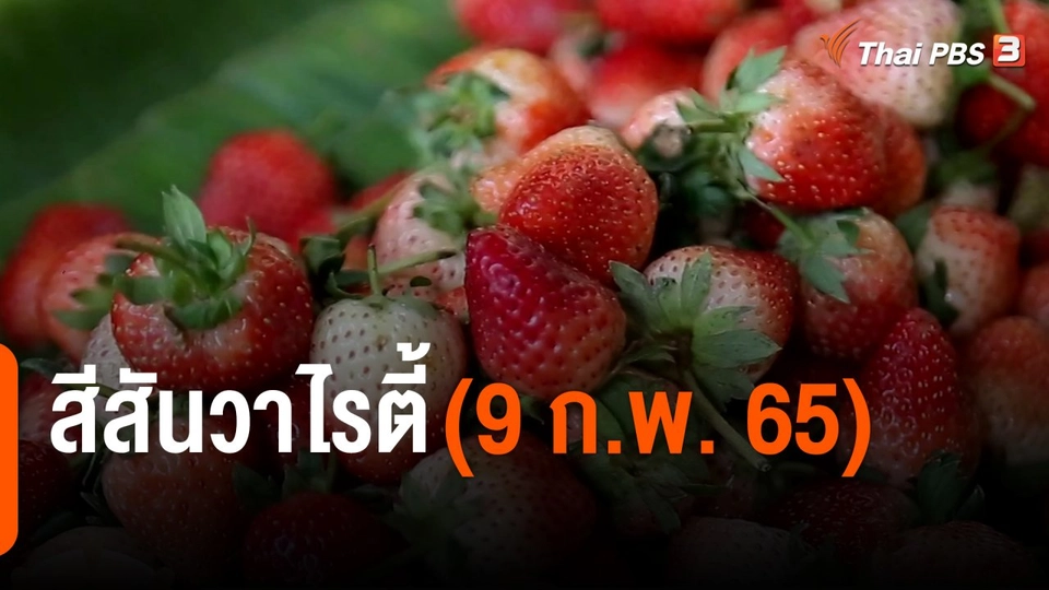 สีสันวาไรตี้ (9 ก.พ. 65)