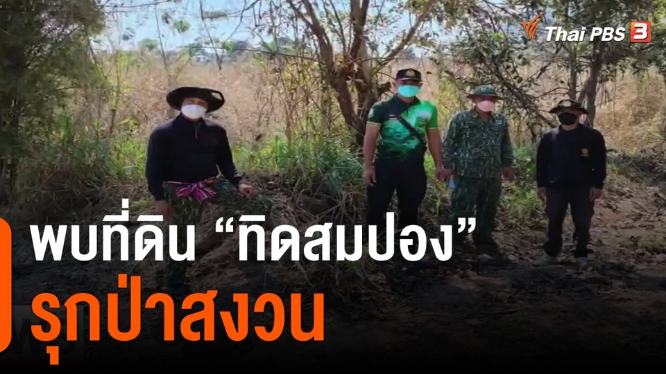กรมป่าไม้พบที่ดิน"ทิดสมปอง" รุกป่าสงวน