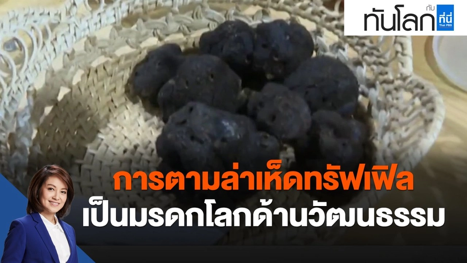 ​การตามล่าเห็ดทรัฟเฟิล เป็นมรดกโลกด้านวัฒนธรรม