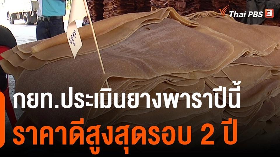 กินอยู่รู้รอบ :  กยท.ประเมินยางพาราปีนี้ราคาดีสูงสุดรอบ 2 ปี