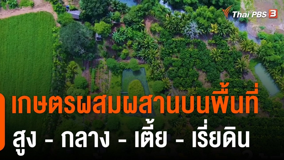 ดอกผลของความยั่งยืน : เกษตรผสมผสานบนพื้นที่ สูง - กลาง - เตี้ย - เรี่ยดิน
