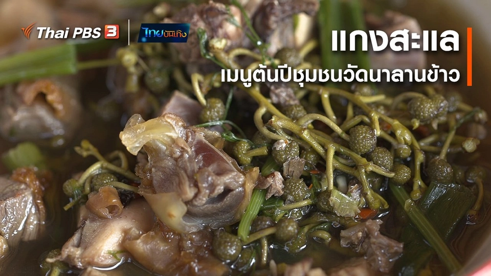 ​อิ่มมนต์รส : "แกงสะแล" เมนูต้นปีแห่งชุมชนวัดนาลานข้าว