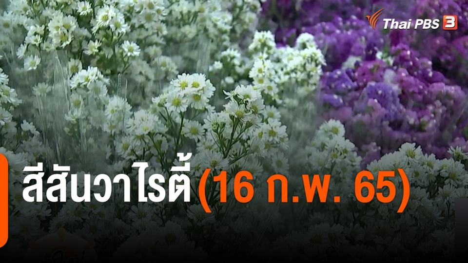สีสันวาไรตี้ (16 ก.พ. 65)