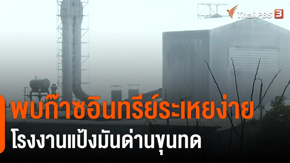 ​ร้องโรงงานแป้งมันด่านขุนทดส่งกลิ่นรบกวน
