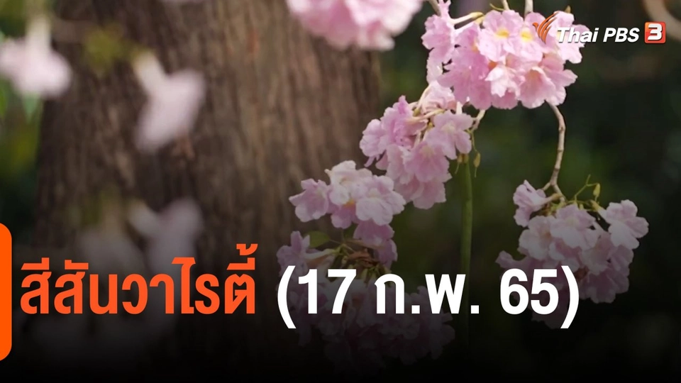 ​สีสันวาไรตี้ (17 ก.พ. 65)
