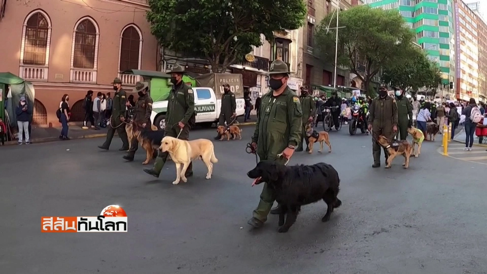 ส.ว.โคลอมเบีย จูงม้าเข้าสภา