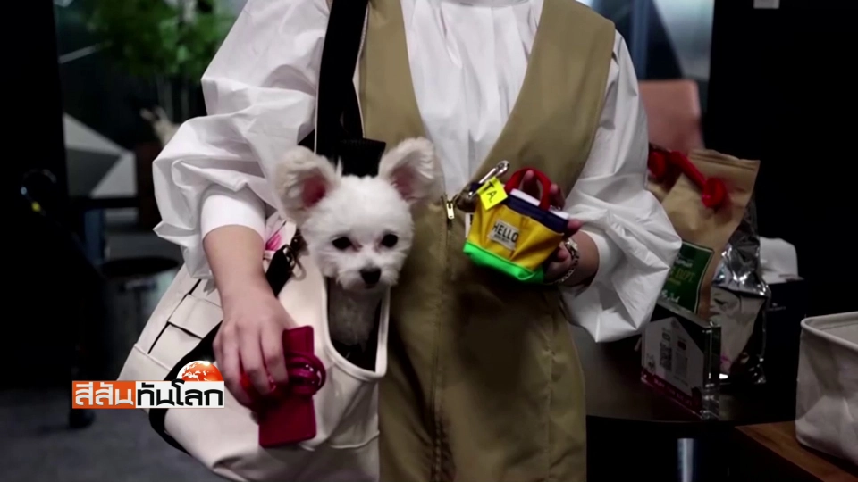 ญี่ปุ่นทดลองนำสัตว์เลี้ยงไปทำงานด้วย