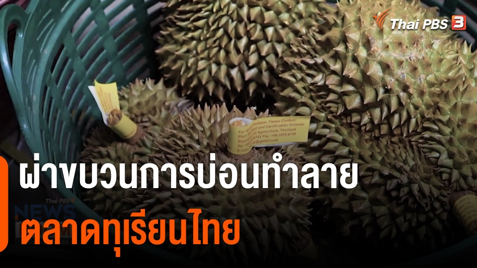 ชำแหละ "กลุ่มทุนจีน" เปิดขบวนการ "ธุรกิจสีเทา"