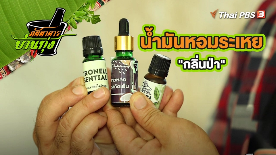 ​คลิปบ้านทุ่ง : น้ำมันหอมระเหย "กลิ่นป่า"