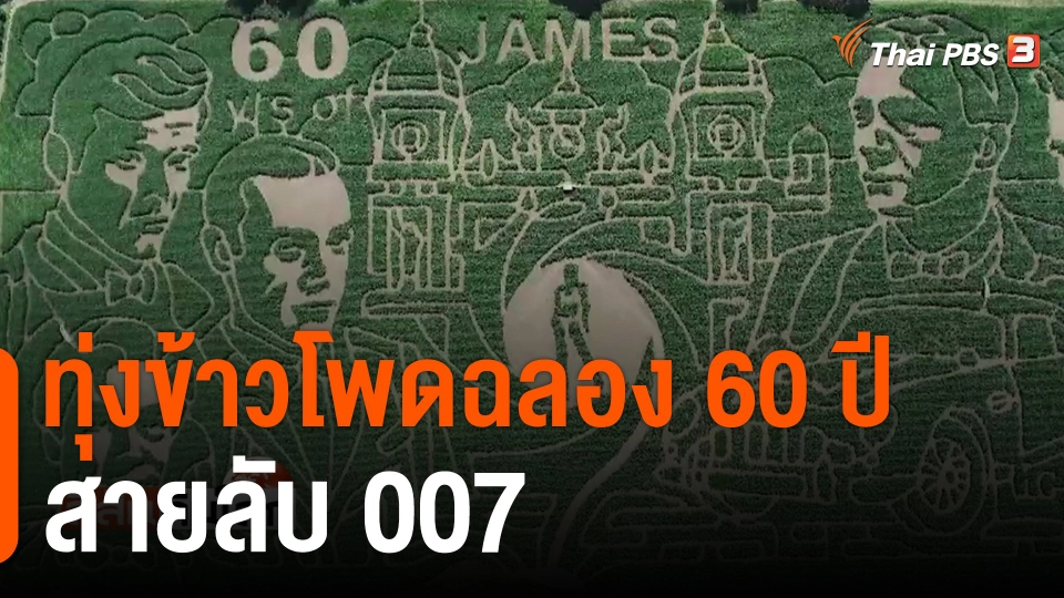 ทุ่งข้าวโพดฉลอง 60 ปี สายลับ 007