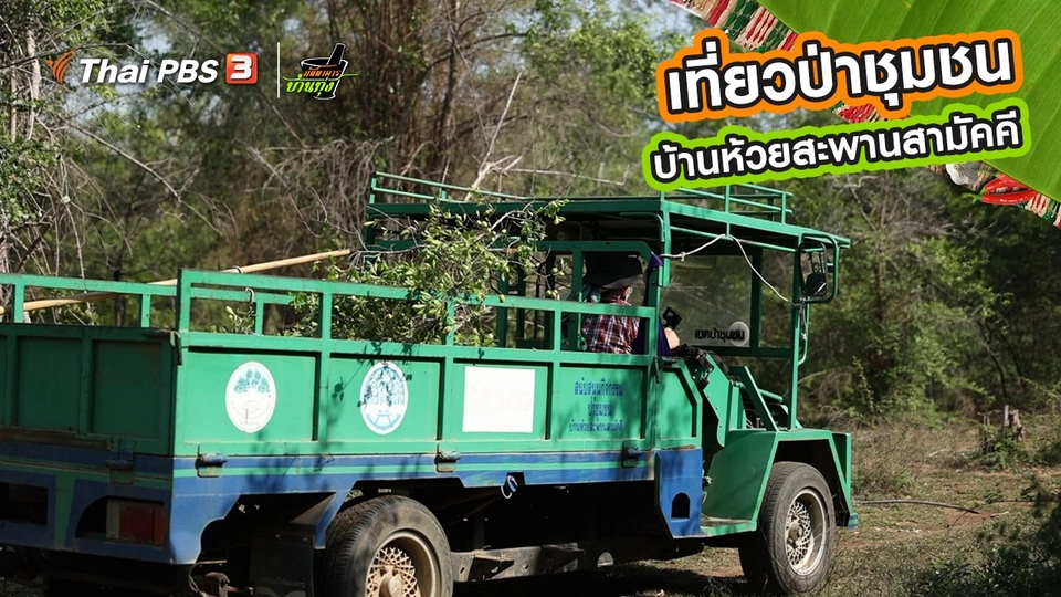 คลิปบ้านทุ่ง : เที่ยวป่าชุมชนบ้านห้วยสะพานสามัคคี