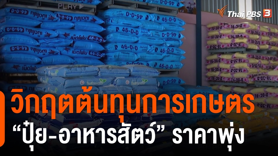 วิกฤตต้นทุนการเกษตร "ปุ๋ย-อาหารสัตว์" ราคาพุ่ง