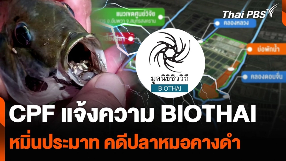 CPF แจ้งความ BIOTHAI หมิ่นประมาท คดีปลาหมอคางดำ