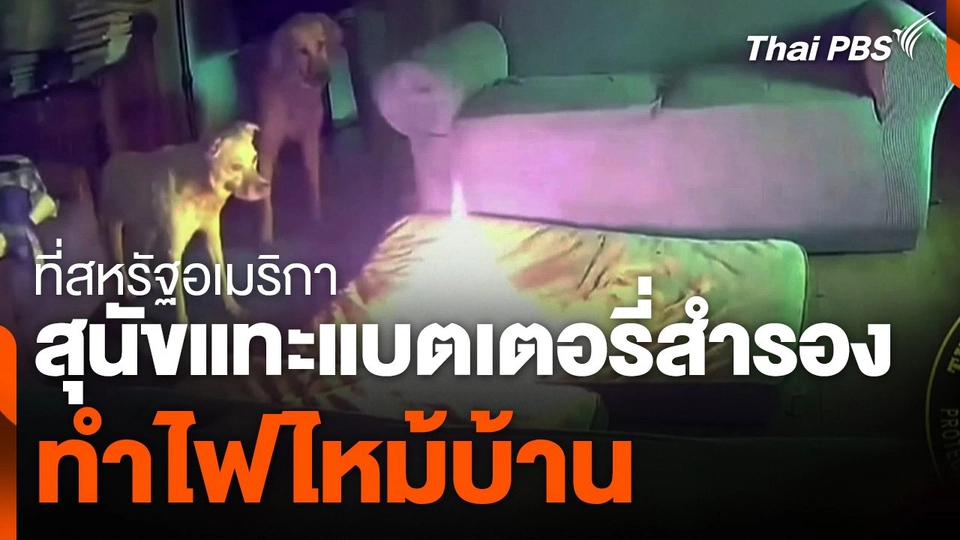 สุนัขแทะแบตเตอรี่สำรองทำไฟไหม้บ้าน ที่สหรัฐอเมริกา