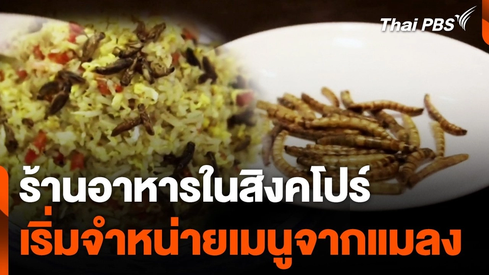 ร้านอาหารในสิงคโปร์ เริ่มจำหน่ายเมนูจากแมลง