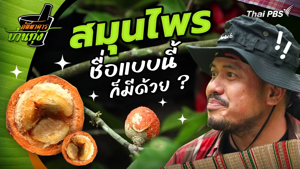 คลิปบ้านทุ่ง : สมุนไพรชื่อแบบนี้ก็มีด้วย ?