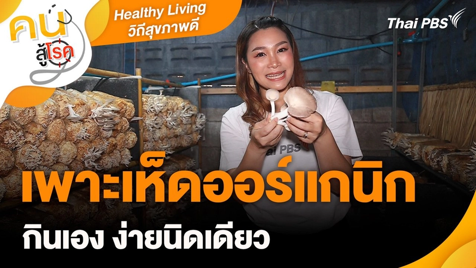 Healthy Living วิถีสุขภาพดี : เพาะเห็ดออร์แกนิกกินเอง