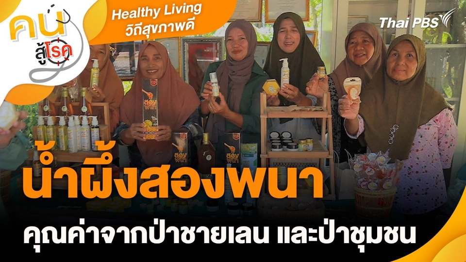 Healthy Living วิถีสุขภาพดี : น้ำผึ้งสองพนา คุณค่าจากป่าชายเลน และป่าชุมชน