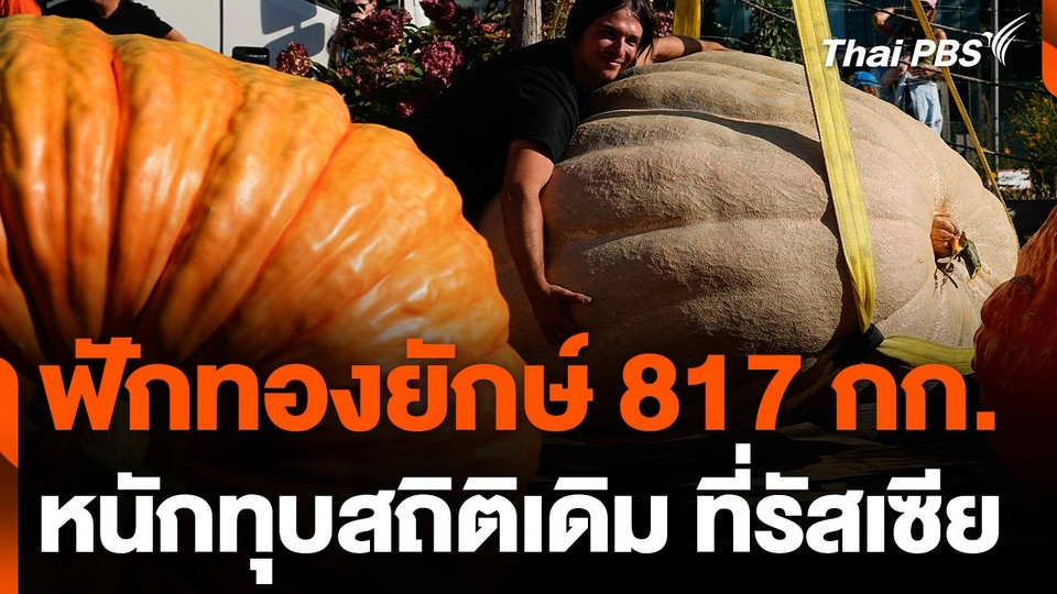 ปลูกฟักทองยักษ์ 817 กก. ที่รัสเซีย