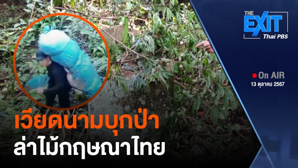 เวียดนามบุกป่า ล่าไม้กฤษณาไทย