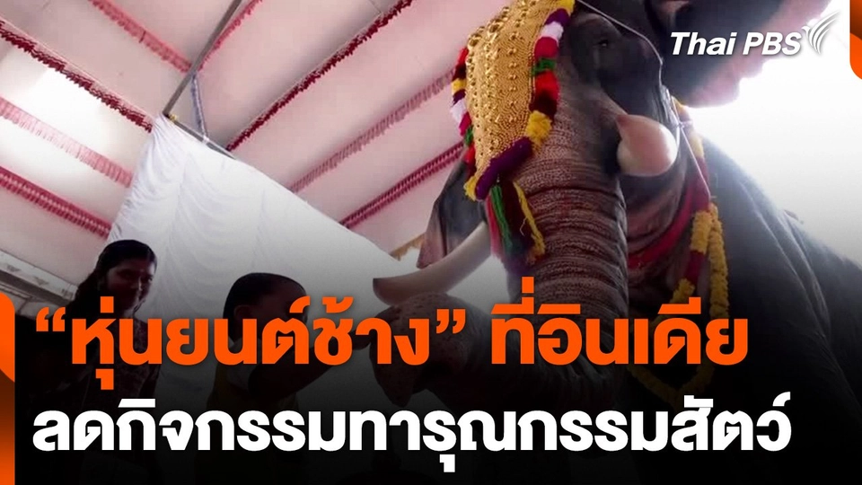 อินเดียใช้ "หุ่นยนต์ช้าง" ลดกิจกรรมทารุณกรรมสัตว์