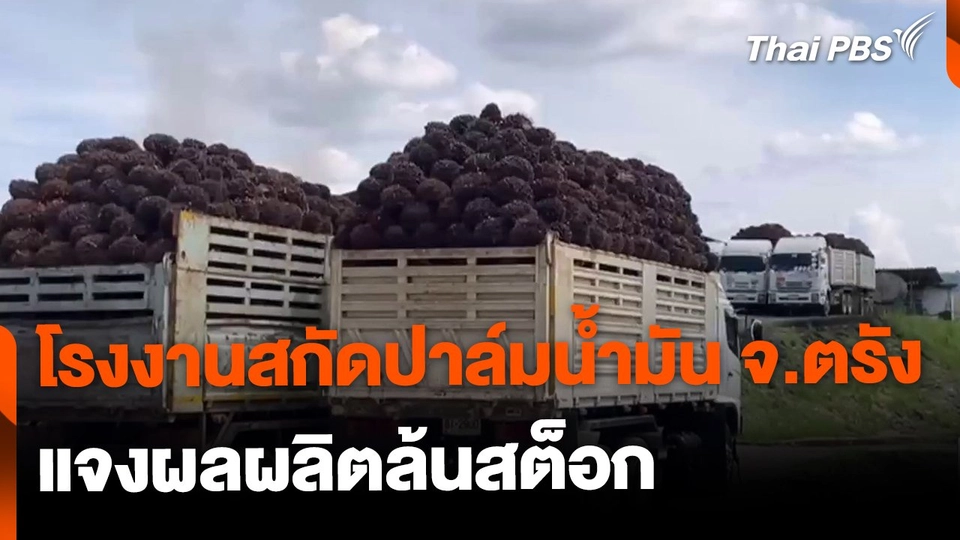 โรงงานสกัดปาล์มน้ำมัน จ.ตรัง แจงผลผลิตล้นสต็อก