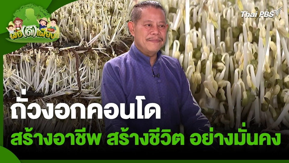 พอดีพอเพียง : ถั่วงอกคอนโด สร้างอาชีพ สร้างชีวิต อย่างมั่นคง