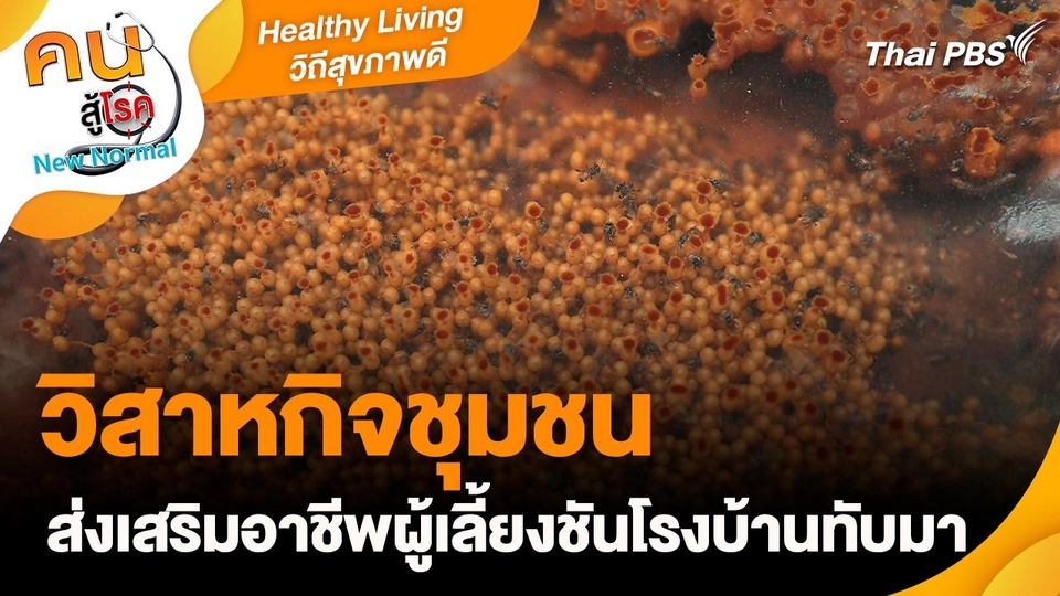 Healthy Living วิถีสุขภาพดี : วิสาหกิจชุมชนส่งเสริมอาชีพผู้เลี้ยงชันโรงบ้านทับมา