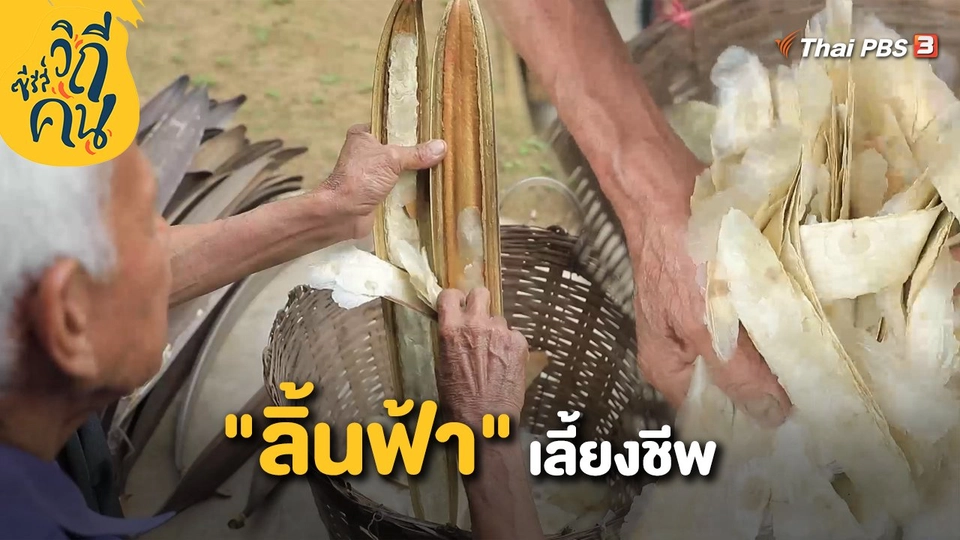 "ลิ้นฟ้า" เลี้ยงชีพ