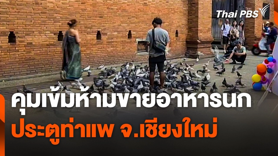 คุมเข้มห้ามขายอาหารนกประตูท่าแพ จ.เชียงใหม่