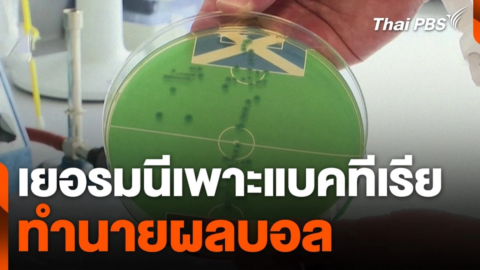 เพาะแบคทีเรียทำนายผลบอล ประเทศเยอรมนี