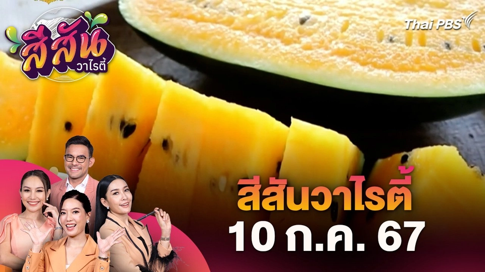สีสันวาไรตี้ (10 ก.ค. 67) : เกษตรกรปลูกแตงโมนอนเปลเน้นคุณภาพ เพิ่มรายได้ จ.พิจิตร