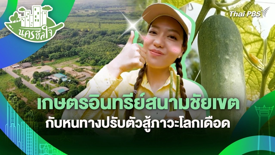 นครฮีลใจ : เกษตรอินทรีย์สนามชัยเขต กับหนทางปรับตัวสู้ภาวะโลกเดือด