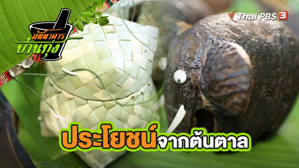 คลิปบ้านทุ่ง : ประโยชน์จากต้นตาล