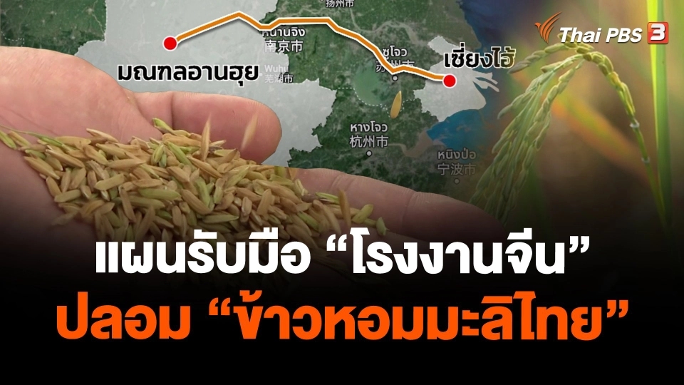 ​แผนรับมือ "โรงงานจีน" ปลอม "ข้าวหอมมะลิไทย"